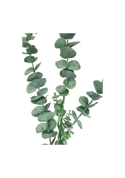 Yapay Çiçek Yeşil Okaliptus 3dallı Uzun Dal 76cm Eucalyptus Diğer