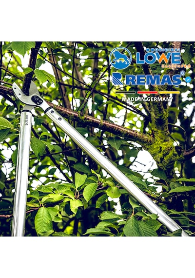 Löwe 22.065 Budama Makası - Made İn Germany
