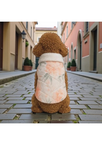 Gedyco Salmon Yumuşacık Baharlık Küçük Irk Köpek Yelek Yağmurluk