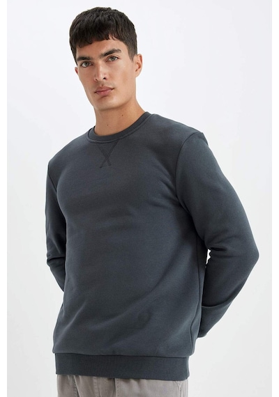 DeFacto Regular Fit Bisiklet Yaka Kalın Basic Düz Sweatshirt T3777AZ24AUAR184