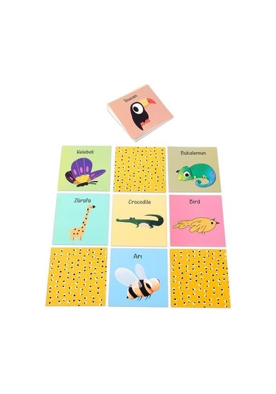 Hafıza Oyunu Eğlen Öğren - Memory Game- Dünya Göz Vakfı