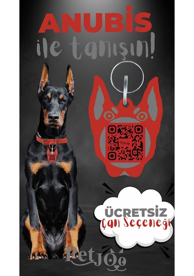 Petjoo 30.Anubis Gri-Kırmızı Qr'lı Köpek Künyesi