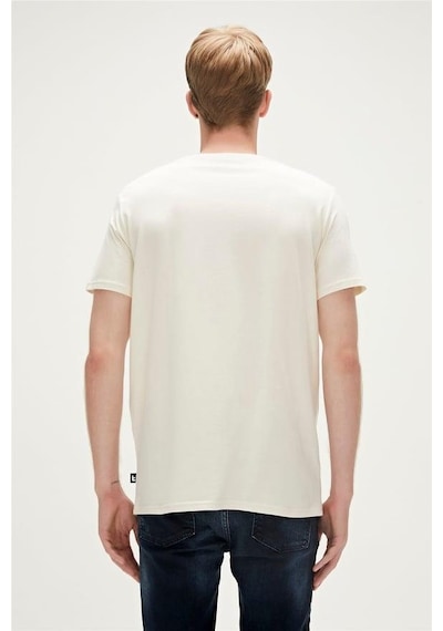 Bad Bear Shark Erkek Tişört-6484 Off-white Kırık Beyaz