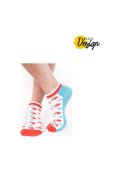 Biggdesign Anemoss Kadın Çorap Seti Çok Renkli