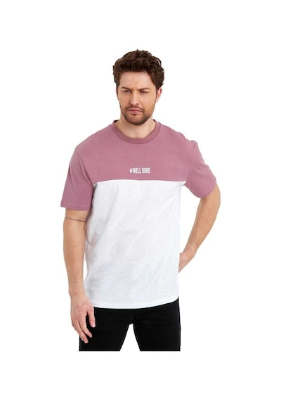 Erkek Bisiklet Yaka Blok Renkli Regular Fit Baskılı Tişört 001