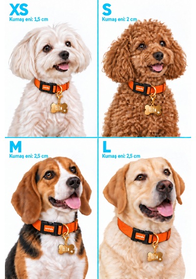 Caramelos İsimli Köpek Tasması, Ayarlanabilir Yavru, Mini, Orta Ve Büyük Irk Köpek Tasması, Turuncu