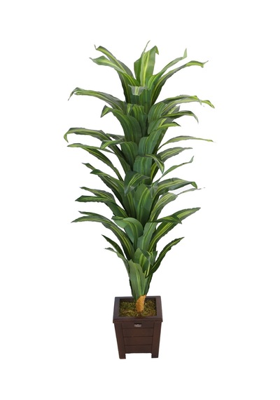 Yapay Çiçek Deposu Yapay Drecina Ağacı 145 Cm Dracaena Plant Yeşil-sarı
