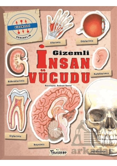 Gizemleri Öğrenelim - Gizemli İnsan Vücudu