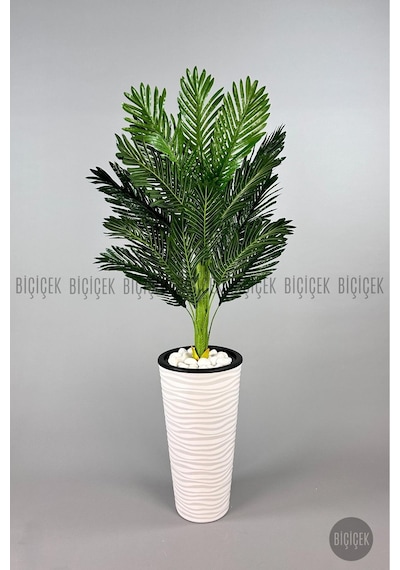 Biçiçek Areka Ağaci 150 Cm Beyaz Kumsal Saksıda Tek Gövdeli̇