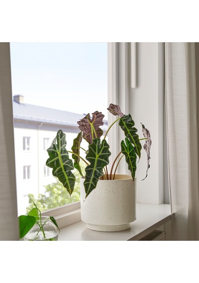 Ikea Sandkorsbar Seramik Saksı Bej 19 Cm İç Ve Dış Mekan Kullanımı İçin
