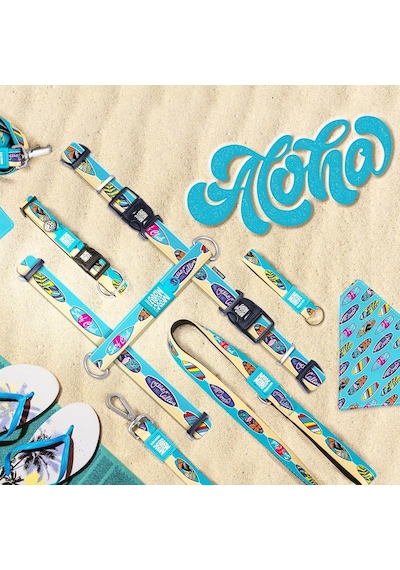 Max & Molly Urban Pets Original Serisi Akıllı Künyeli Köpek Boyun Tasması S, Aloha