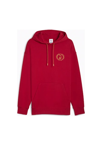 Puma Puma X Harry Potter Hoodie Unisex Günlük Sweatshirts 63009313 Kırmızı Kırmızı