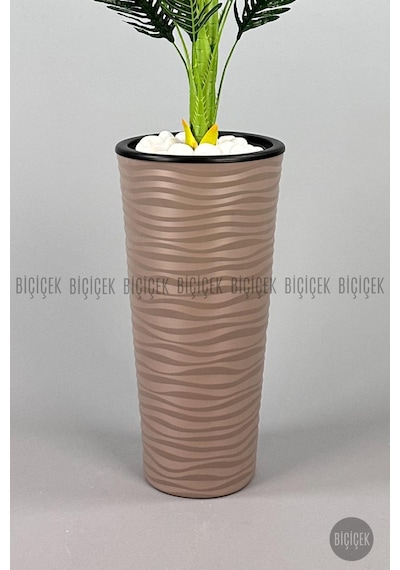Biçiçek Areka Ağaci 150 Cm Mocha Kumsal Saksıda Tek Gövdeli̇