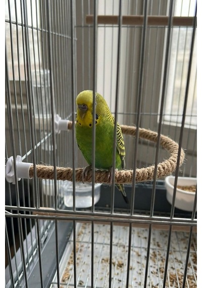 Mivra Pets Esnek Kuş Tüneği 40 Cm 2 Cm Doğal Jüt
