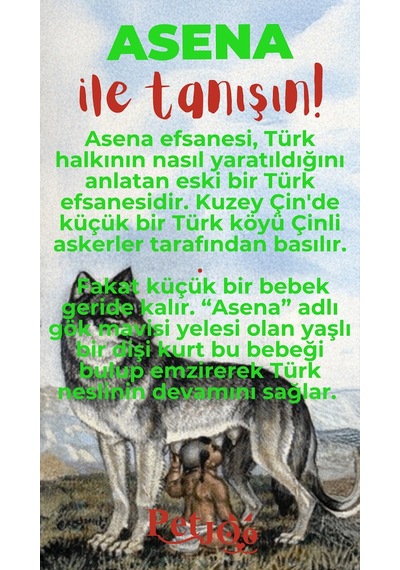Petjoo 25.Asena Kırmızı-Yeşil Qr'lı Köpek Künyesi