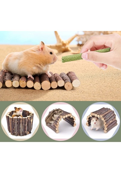 3lü Set Doğal Ahşap Merdiven Köprüsü Ve Orman Içi Boş Ağaç Gövdesi Hamster Egzersiz Kampı