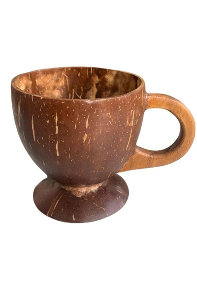 Hindistan Cevizi Coconat Bardak Coconut Glass