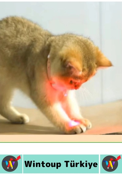 Tasma Esnek Kafa Açılı Ayarlanabilir Silikon Kayış 2 Modlu Şarjlı Otomatik Lazer Kedi Oyun Tasması