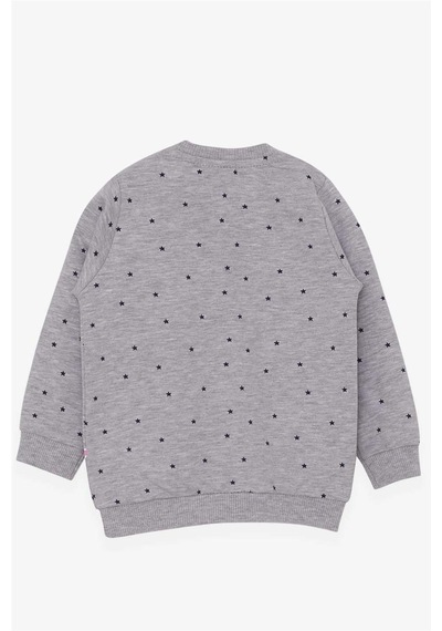 Breeze Kız Bebek Sweatshirt Mutlu Kedicikler 4 Ay-1.5 Yaş, Gri Melanj-gri Melanj Gri Melanj