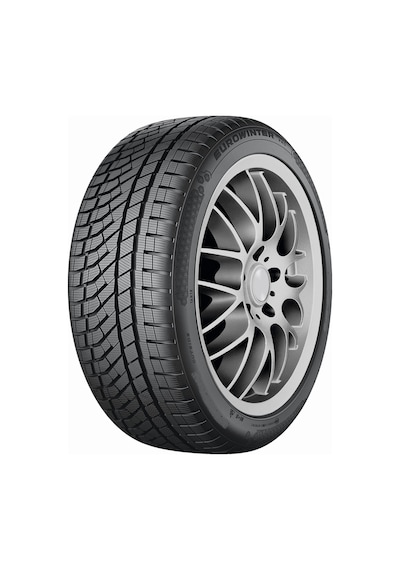 Falken 225/55 R19 103V XL EuroWinter HS02 PRO Kış Lastiği 2026