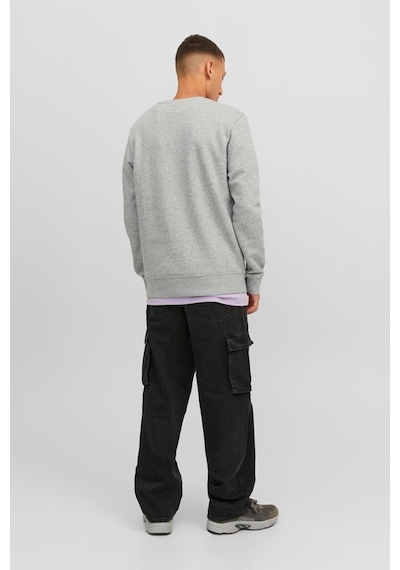 Jack & Jones Jack&jones Jcodust Sweat Crew Neck Grimelanj 001