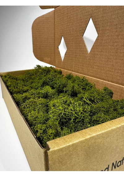 Reindermoss Şoklanmış Norveç Yosunu Terarium Yosunu Midium Green 500 Gr.
