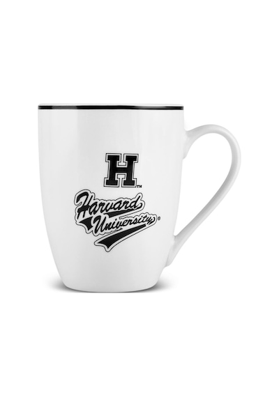 Karaca Harvard Kupa 350 Ml Siyah