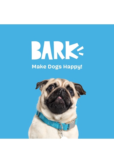 Bark Fetch Dal Köpek Oyuncağı