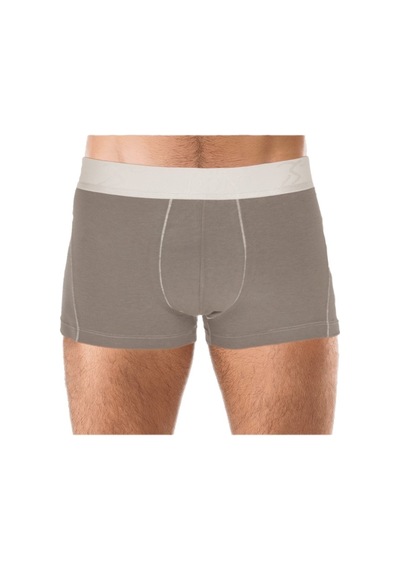 The Don Antrasit Renk Bamboo Boxer Sport
