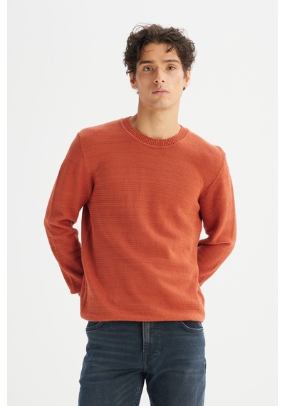 Lee %100 Pamuk Regular Fit Erkek Triko Kazak L2520373222 Turuncu