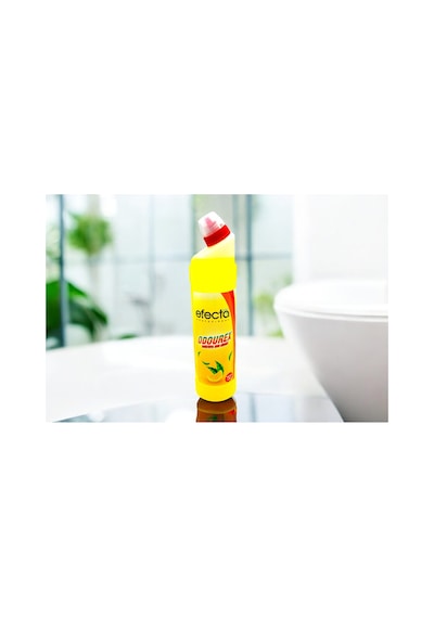 Efecto Odourex Hıj.koku Gıd.1 Lt E232-1