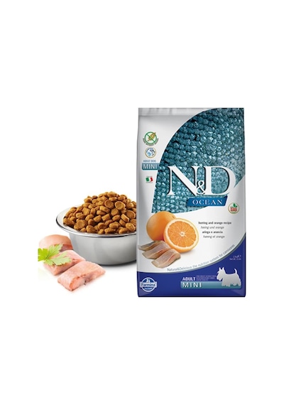 N&D Ocean Balıklı ve Portakallı Küçük Irk Tahılsız Yetişkin Köpek Maması 2500 G