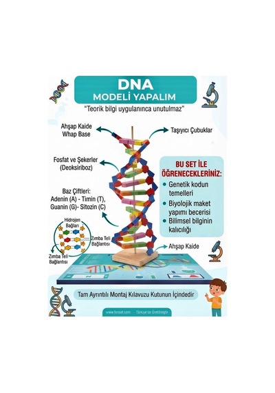 Kendin Yap 3 Boyutlu 72 Parça Dna Model Yapma Eğitici Öğretici Proje Ve Deney Yapım Setleri