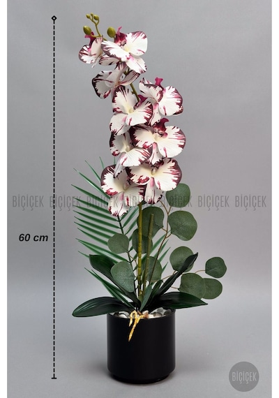 Yapay Phalaenopsi S Mor Benekli Orki De 60 Cm Siyah
