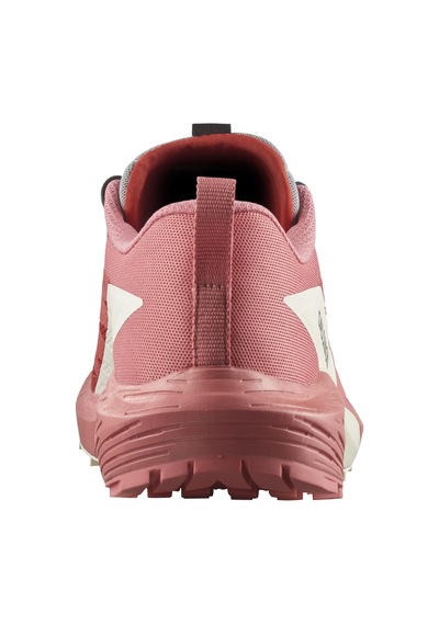 Salomon Sense Ride 5 W Kadın Koşu Ayakkabısı L47215200 Gri