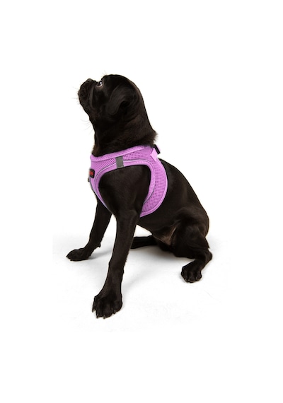 Air-Mesh Küçük ve Orta Irk Kedi Köpek Göğüs Tasması - Yumuşak, Nefes Alabilir, Dayanıklı LİLA S