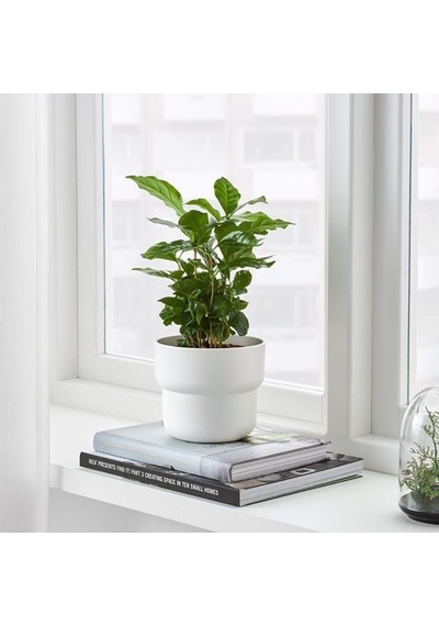 Ikea Förenlıg Plastik Saksı, Beyaz, İç/dış Mekan