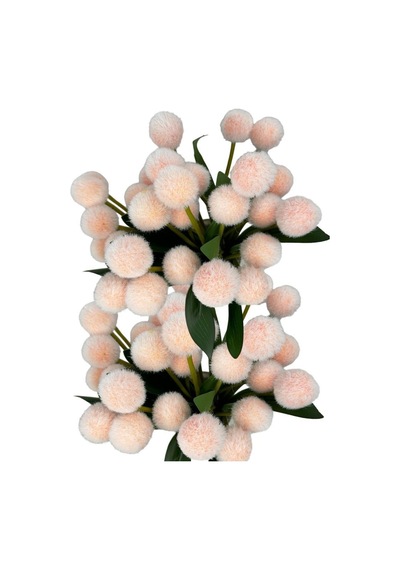 Yapay Çiçek Şampanya Rengi Pompon Çiçeği Dekoratif Yapay Çiçek 7 Toplu 30 20cm