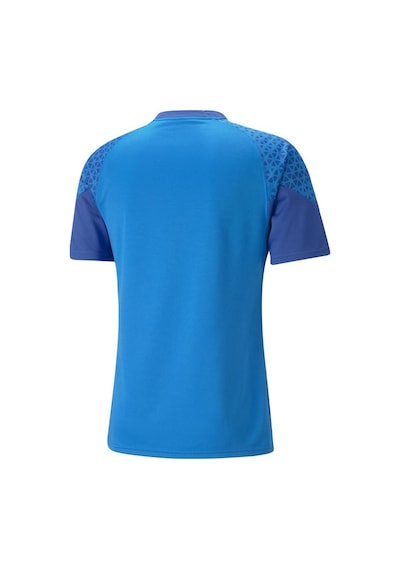 Puma Teamcup Training Jersey Erkek Futbol Tişörtü 65798402 Mavi 001