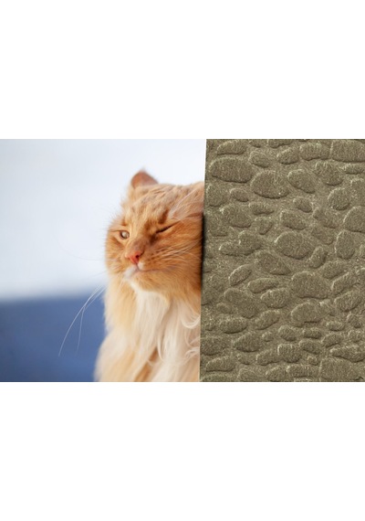 Tink 3d Kendinden Yapışkanlı Akustik Keçe Panel Leopar Desenli 52x98 Cm 10 Adet 5 M² Devetüyü
