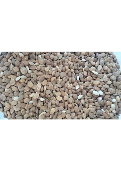Kayısıcenter Toptan Acı Kayısı Çekirdeği 10 KG