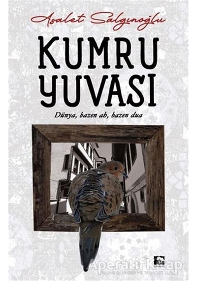 Kumru Yuvası - Asalet Salgınoğlu - Çınaraltı Yayınları