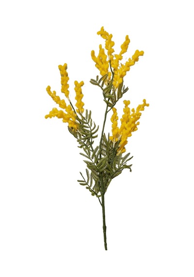 Pasabahce Mimoza 85 Cm Sarı - 1 Adet