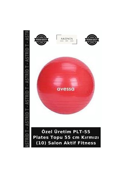 Özel Üretim Plt-55 Plates Topu 55 Cm Kırmızı 10 Salon Aktif Fitness