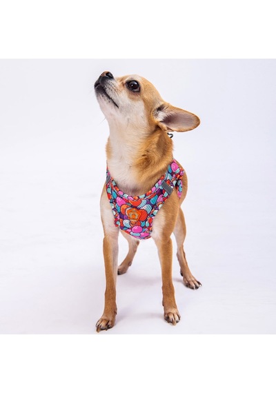 Pawstar Balloons Air-mesh Göğüs Tasması Kedi Köpek Göğüs Tasması Xlarge Çok Renkli