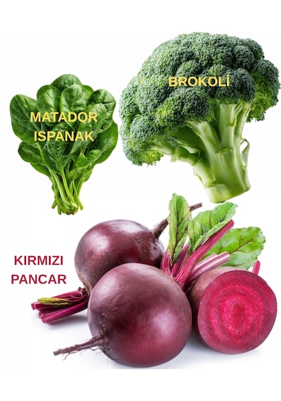 Tohum Seti Brokoli, Kırmızı Pancar, Ispanak 20 Gr.