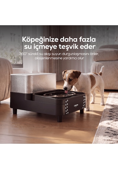 Akıllı Kedi Ve Köpek Su Pınarı 6.5l + 1.5l, Wifi, Otomatik, Çoklu Filtreli X8656