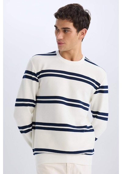 DeFacto Regular Fit Bisiklet Yaka Dokulu Sweatshirt D7595AX25SPWT32