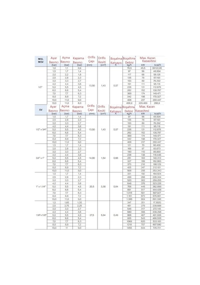 Watts Emn. Ventili 1''-9 Bar - Svw-218309