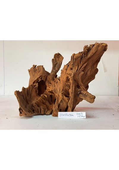 Mangrow Kökü No:2002 27x17x20h